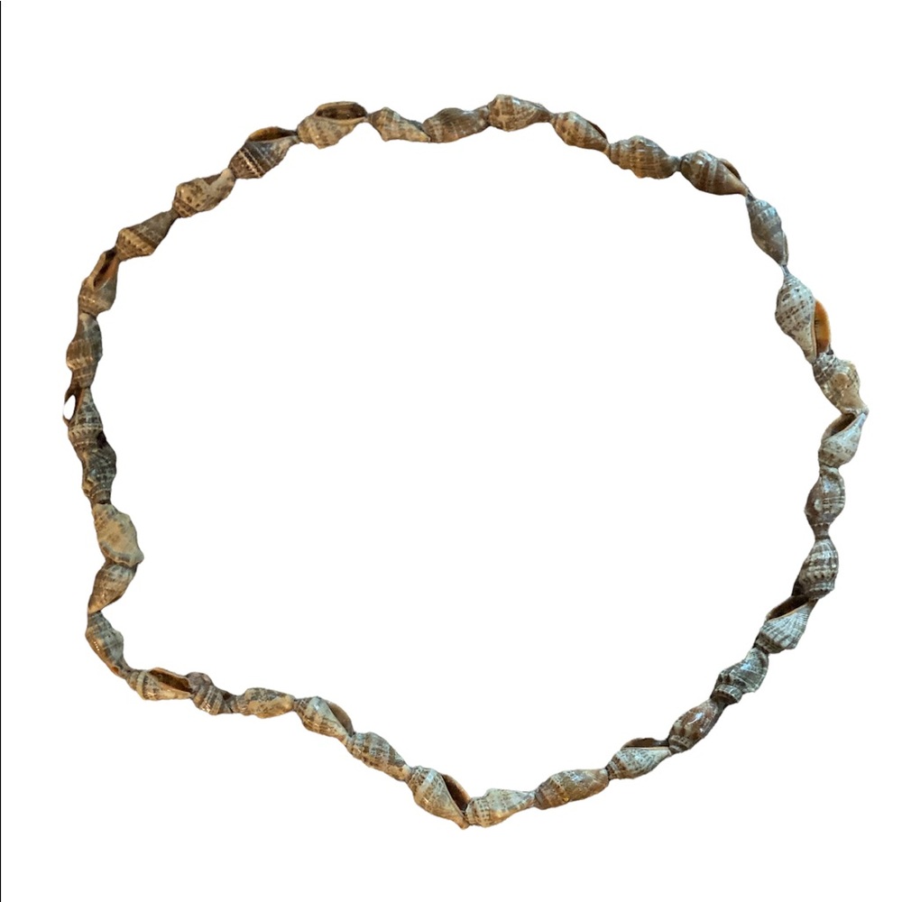 A seashell necklace for men and women